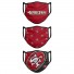 Fabric Masks - San Francisco 49ers - Set of 3