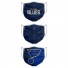 Fabric Masks - St Louis Blues - Set of 3