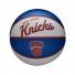NBA Mini Ball - New York Knicks