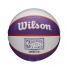 NBA Mini Ball - Phoenix Suns