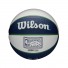 NBA Mini Ball - Dallas Mavericks