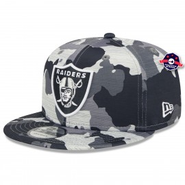 NFL LAS VEGAS RAIDERS OLD ENGLISH UNISEX BEANIE (HEATHER GREY) – Pro  Standard