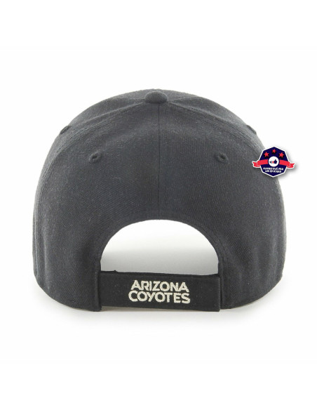 ARIZONA COYOTES