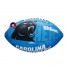 NFL Ball Carolina Panthers - Wilson - Junior Size