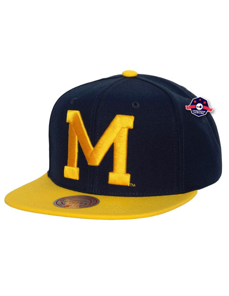 NCAA TEAM 2 T O N E 2 . 0 S N A P B A C K MICHIGAN