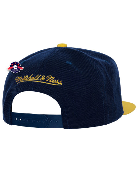 NCAA TEAM 2 T O N E 2 . 0 S N A P B A C K MICHIGAN