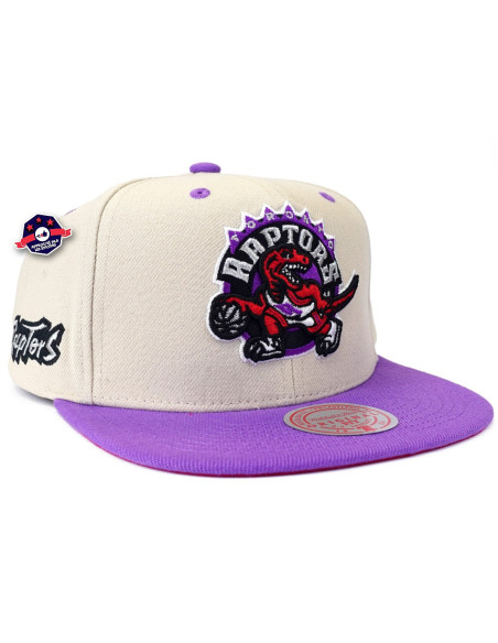 NBA SAIL 2 TONE SNAPBACK HWC RAPTORS