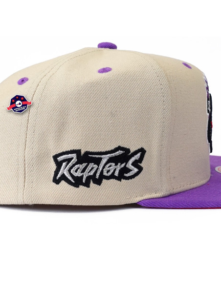 NBA SAIL 2 TONE SNAPBACK HWC RAPTORS