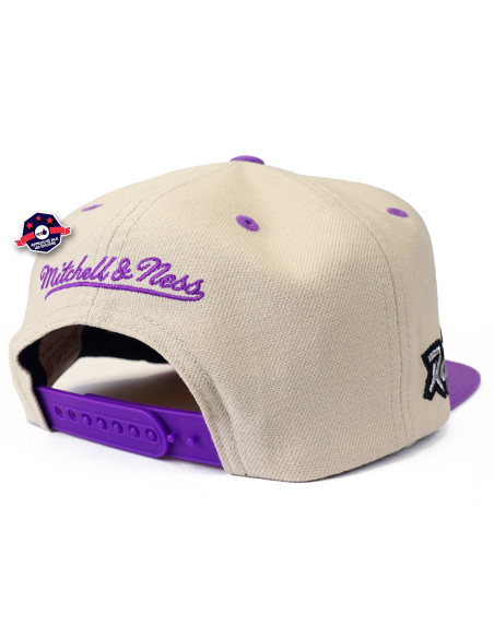 NBA SAIL 2 TONE SNAPBACK HWC RAPTORS