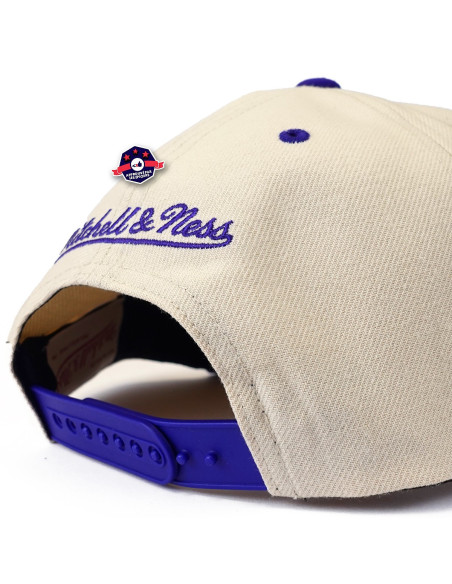 NBA SAIL 2 TONE SNAPBACK HWC BUCKS