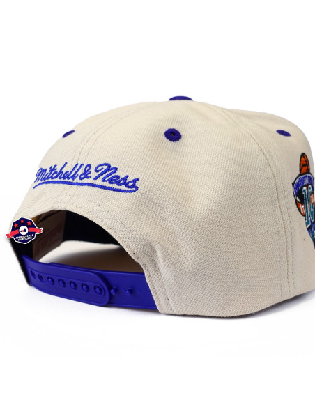 NBA SAIL 2 TONE SNAPBACK HWC HORNETS
